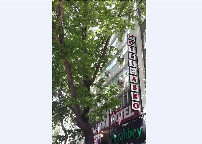 Abro Necatibey 安卡拉