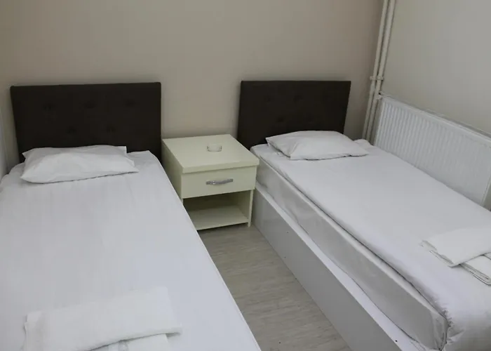 ホテル Abro Necatibey 3*