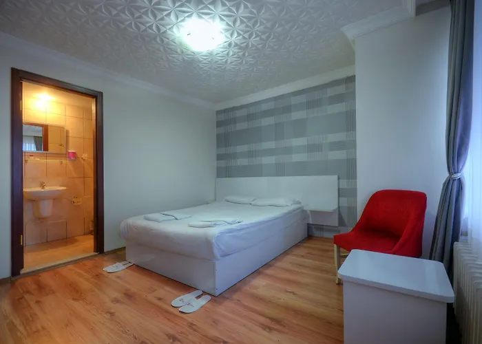 ホテル Abro Necatibey 3*