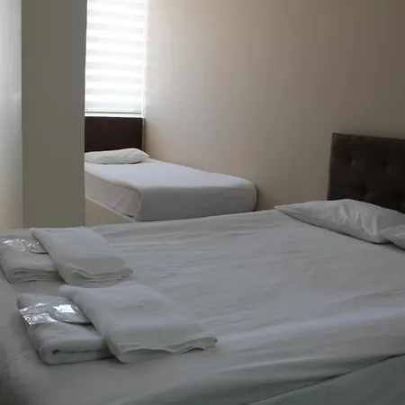 ホテル Abro Necatibey 3*